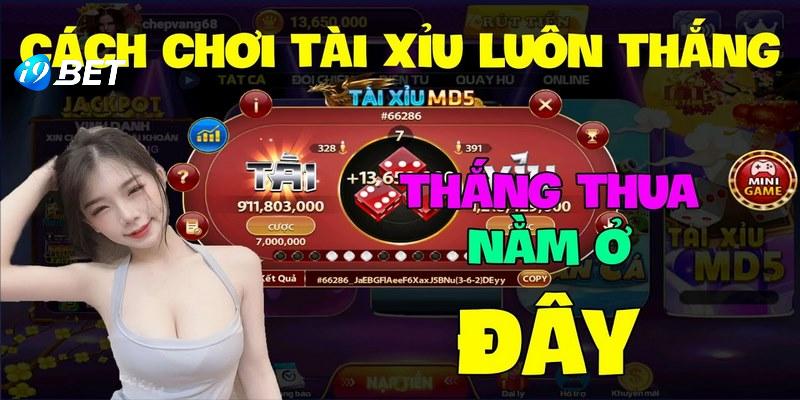Kinh nghiệm hay từ người chơi lâu năm